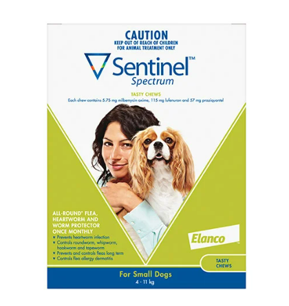 Buy Sentinel Spectrum Tasty Chews For Small Dogs 4 To 11Kg (Green) $72.12 (was $75.92) @ Vet Supply