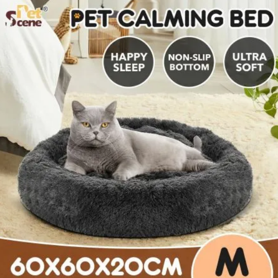 Newly Arrived Dog Beds Up to 70% Off  @ Best Deals