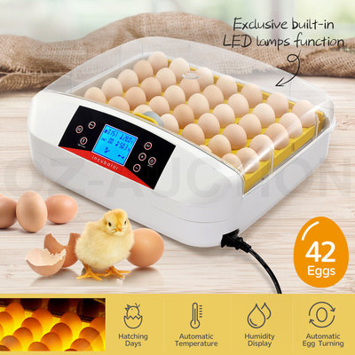 Automatic 42 Egg Incubator Digital Hatching Chicken Pigeon Quail Eggs Hatcher $139.95 (RRP $299.95) @ eBay AU