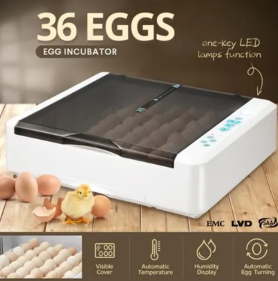 Digital Fully Automatic Egg Incubator 36-120 Eggs $109.98 (RRP $249.95) @ Crazy Sales