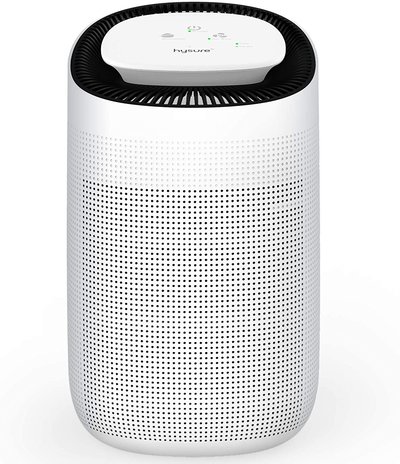 Hysure Air Dehumidifier with/Air Purifier Function 1000ml True HEPA Filter $104.50 (RRP $249.99) @ Amazon AU