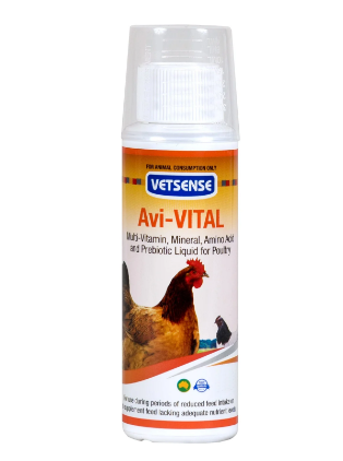 Buy Avi-Vital for Birds – Supplement for Birds online at best price @ Vet Supply