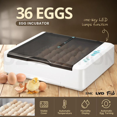 Automatic Egg Incubator Digital Fully 36-120 Eggs Poultry Hatcher Chicken Duck $119.95 (RRP $349.95) @ eBay AU