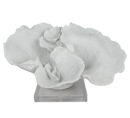 Cape Cod White Coral On Clear Base $59.50 (RRP $119) @ One World Collection