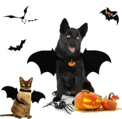 Halloween Costume For Dogs/Cats Black & Yellow Bat Wings $12.98 (RRP $18.98) @ The Market NZ