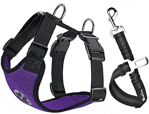 SlowTon Dog Car Harness Seatbelt Set (S, Purple) $13.65 (RRP $19.49) @ Amazon AU